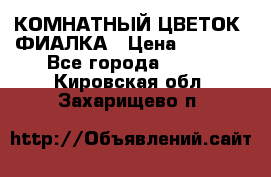 КОМНАТНЫЙ ЦВЕТОК -ФИАЛКА › Цена ­ 1 500 - Все города  »    . Кировская обл.,Захарищево п.